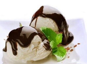 零元加盟費(fèi)，冰雪精靈冰淇淋創(chuàng)業(yè)指南 如何以零成本啟動并掌握核心技術(shù)